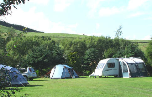 Red Squirrel Campsite