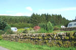 Red Squirrel Campsite view